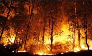 incendios forestales Monterrey